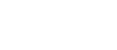 لوگو برند CARBINS
