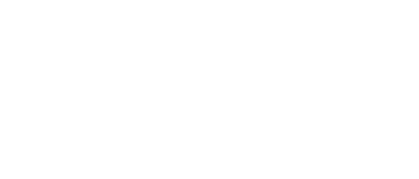 sonax